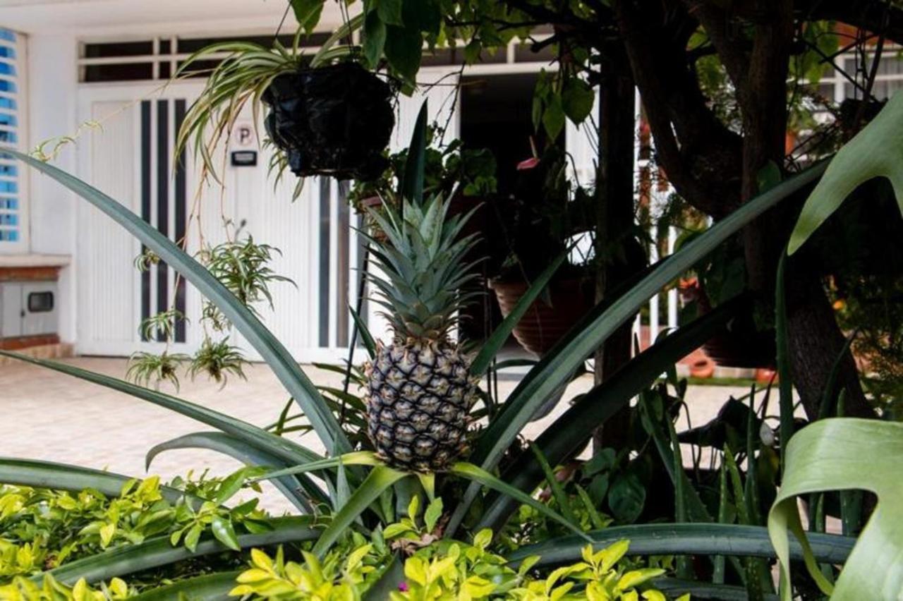 Hotel Hospedaje Caney "Descanso & Tradicion" Ayenda 1422 كالي المظهر الخارجي الصورة