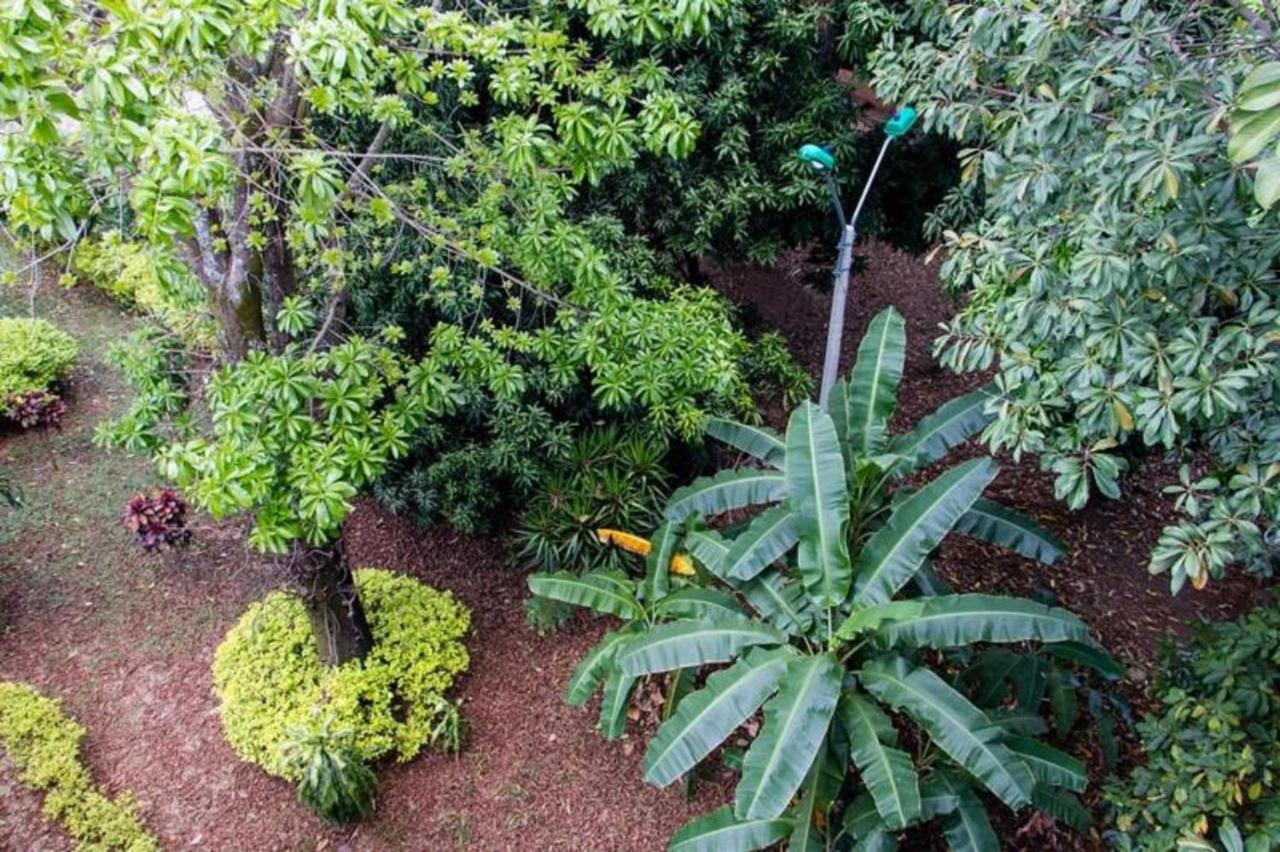Hotel Hospedaje Caney "Descanso & Tradicion" Ayenda 1422 كالي المظهر الخارجي الصورة